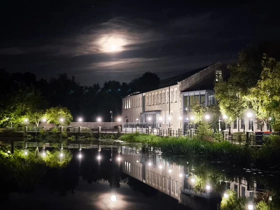 Краткий обзор смартфона Xiaomi 14T Pro фото