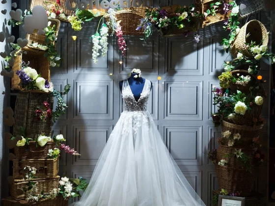 Краткий обзор смартфона Xiaomi 14T Pro фото