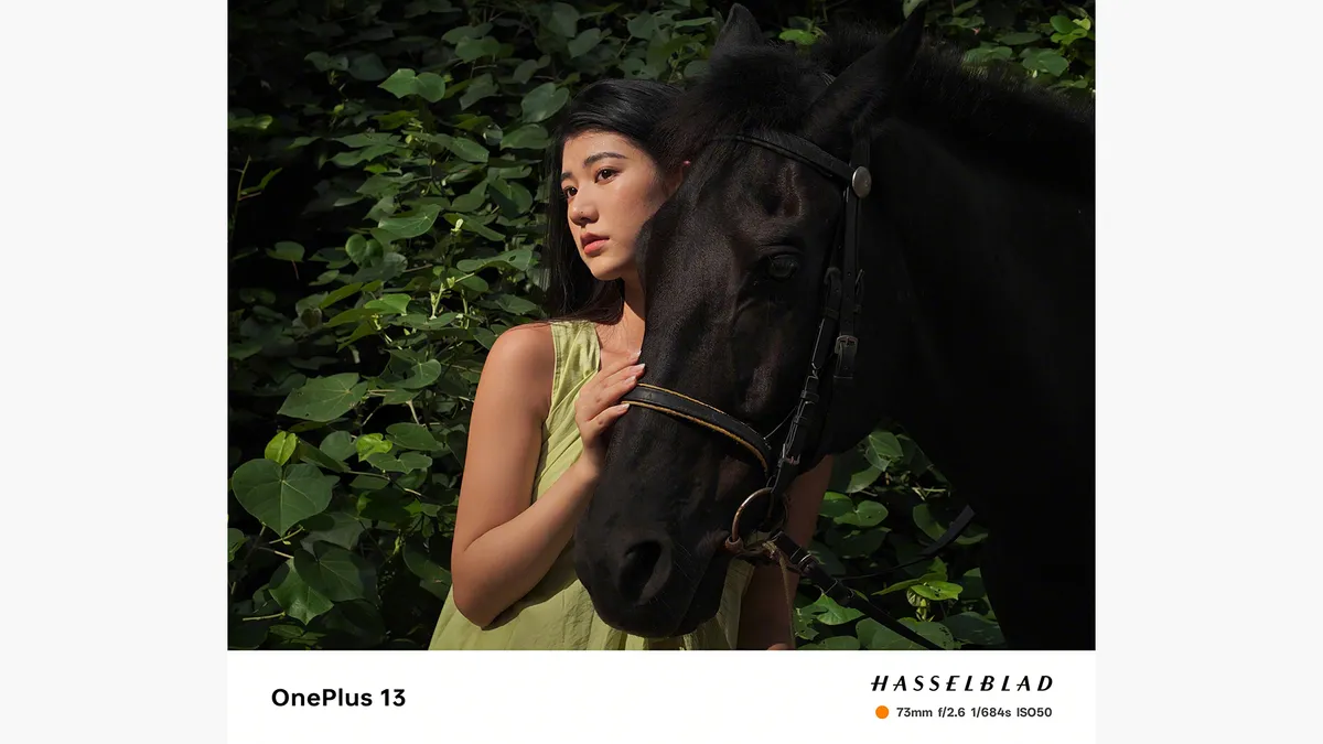 В ожидании OnePlus 13 картинка В ожидании OnePlus 13 фото