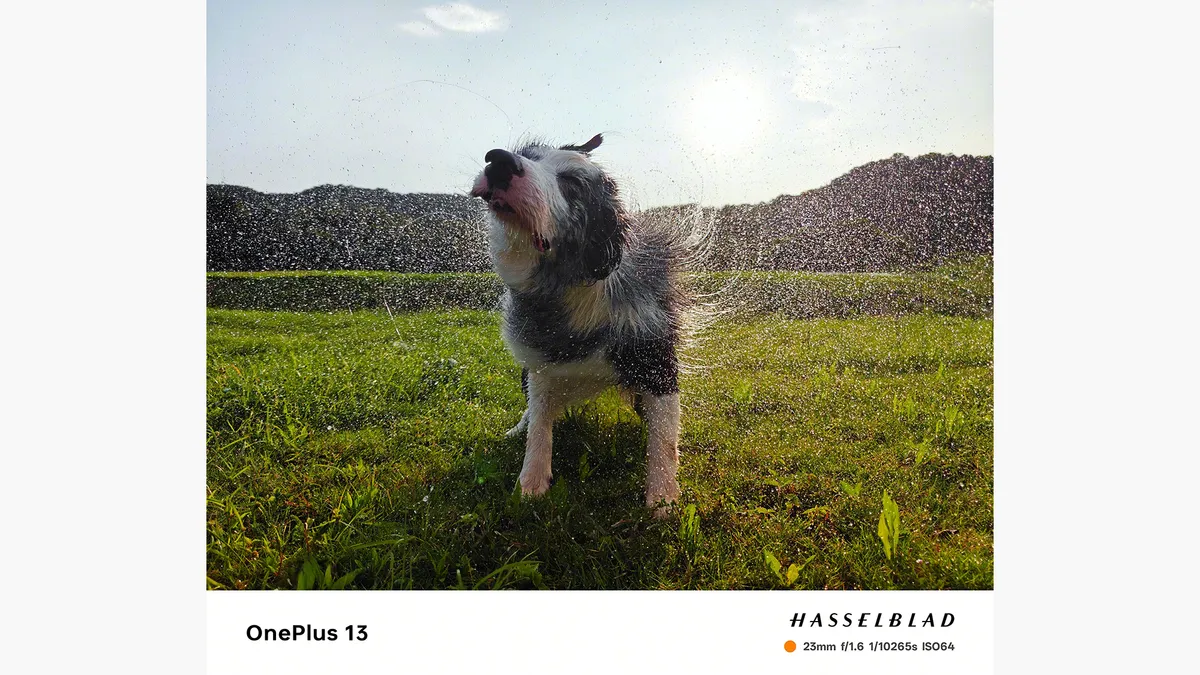 В ожидании OnePlus 13 картинка В ожидании OnePlus 13 фото