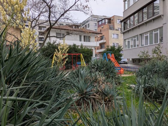 Google Pixel 8a - основная камера