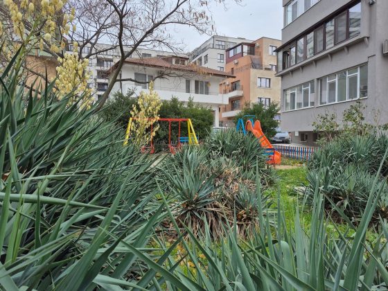 Samsung Galaxy S24 FE - основная камера