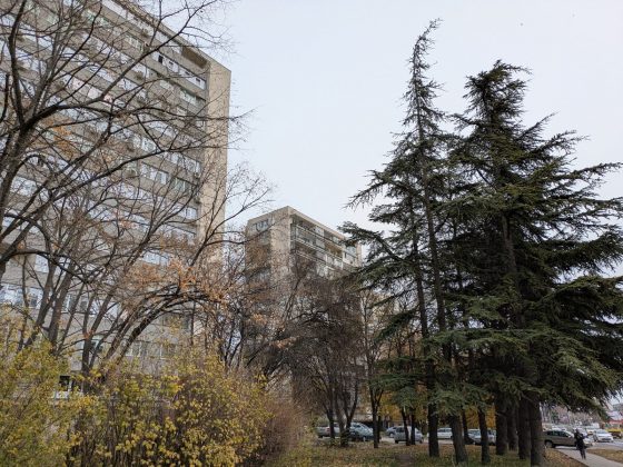 Google Pixel 8a - основная камера