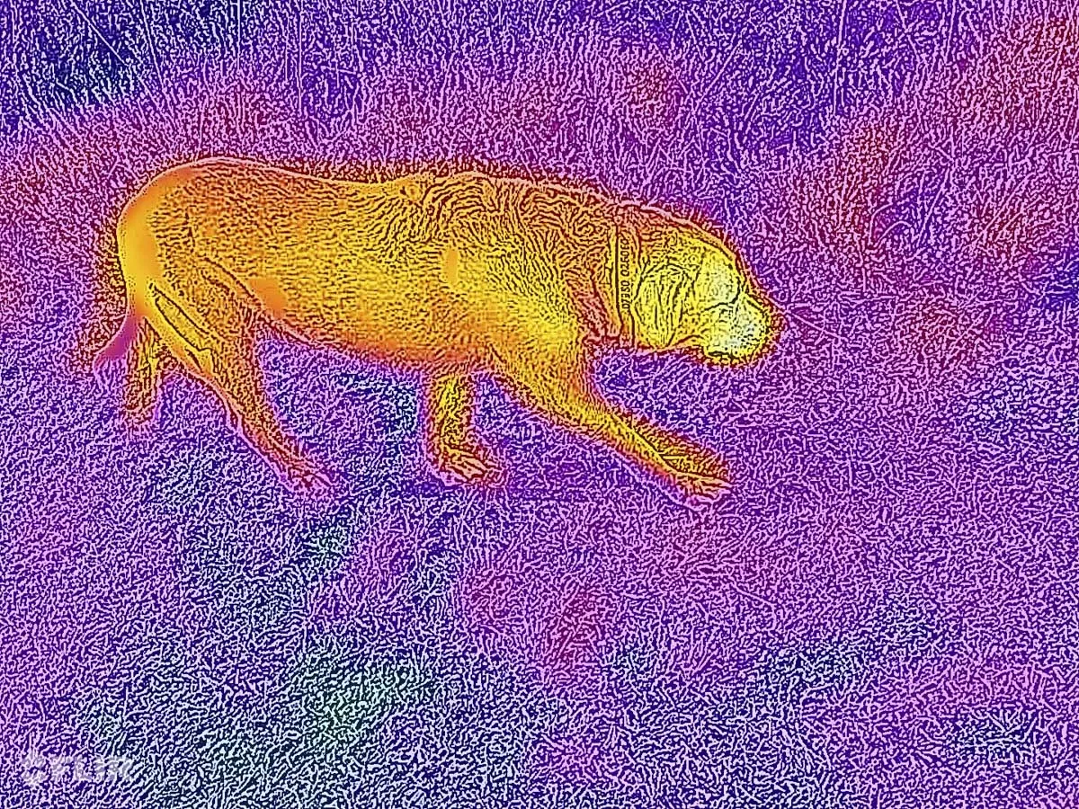 Обзор прочного телефона Ulefone Armor 27T Pro картинка Обзор прочного телефона Ulefone Armor 27T Pro фото