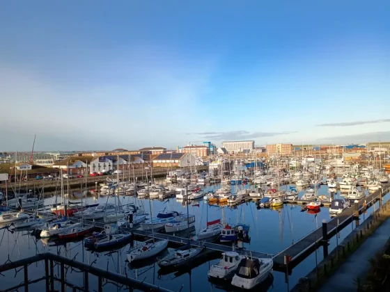 Обзор смартфона Motorola Moto G55: отличное соотношение цены и качества фото