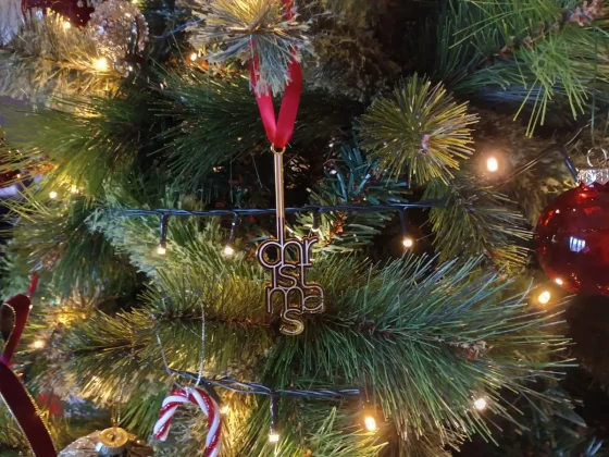 Обзор смартфона Motorola Moto G55: отличное соотношение цены и качества фото