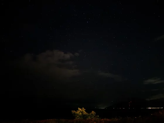 Лучший камерофон 2024 года: лучшие мобильные телефоны для фотографии фото