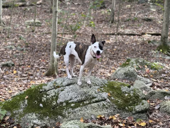 Лучший камерофон 2024 года: лучшие мобильные телефоны для фотографии фото