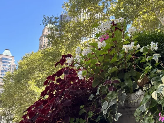 Лучший камерофон 2024 года: лучшие мобильные телефоны для фотографии фото