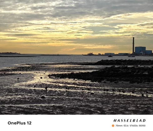 Лучший камерофон 2024 года: лучшие мобильные телефоны для фотографии фото