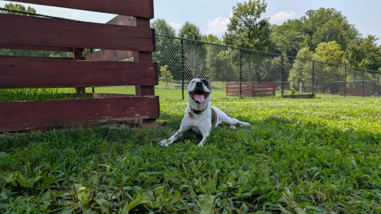 Лучший камерофон 2024 года: лучшие мобильные телефоны для фотографии фото