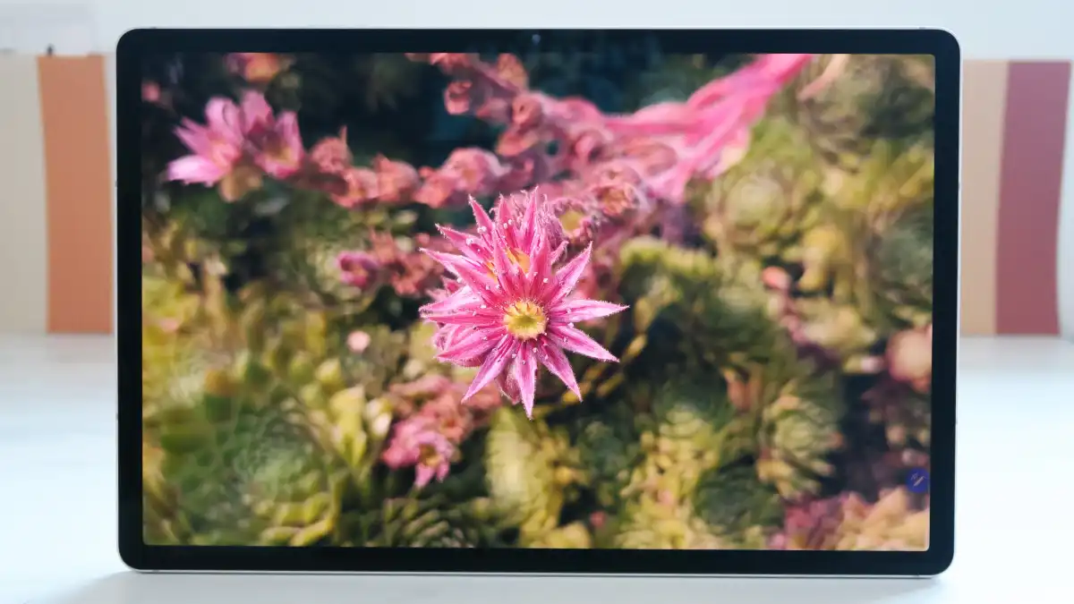 Samsung Galaxy S10 +