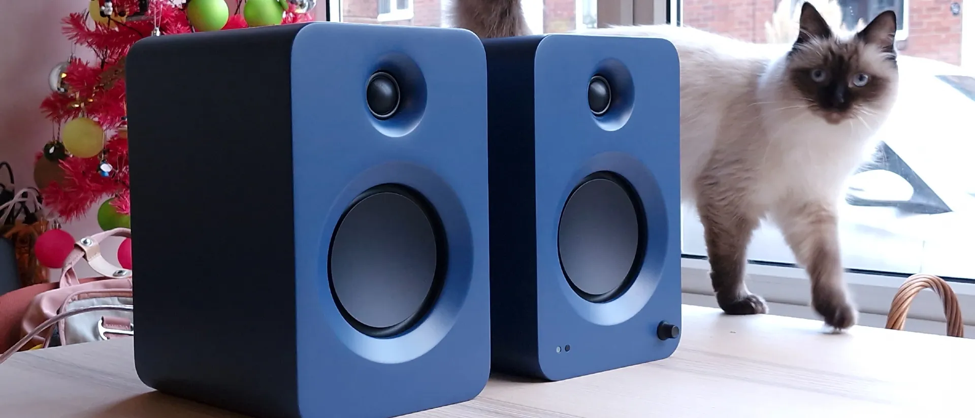 296681Обзор активной акустической системы Kanto Ren