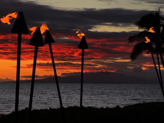 Лучший камерофон 2024 года: лучшие мобильные телефоны для фотографии фото