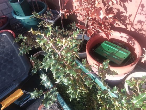 Обзор бизнес-планшета Teclast T70 Tablet фото