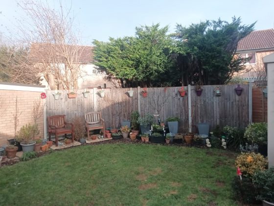 Обзор бизнес-планшета Teclast T70 Tablet фото