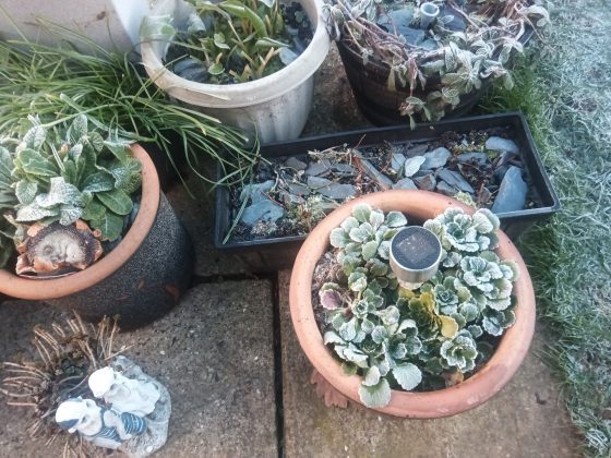 Обзор бизнес-планшета Teclast T70 Tablet фото