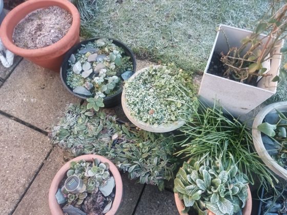 Обзор бизнес-планшета Teclast T70 Tablet фото