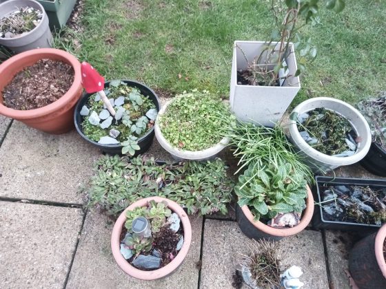 Обзор бизнес-планшета Teclast T70 Tablet фото