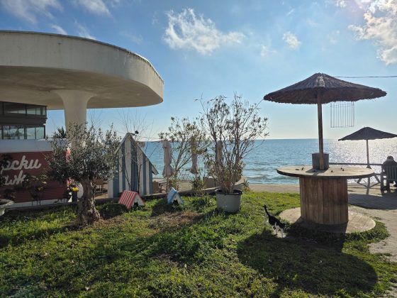 Обзор Samsung Galaxy S25 Ultra: один маленький шаг для ИИ... эх, без изменений фото