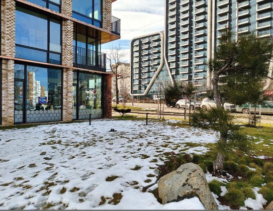 Обзор смартфона Realme 14 Pro+ фото