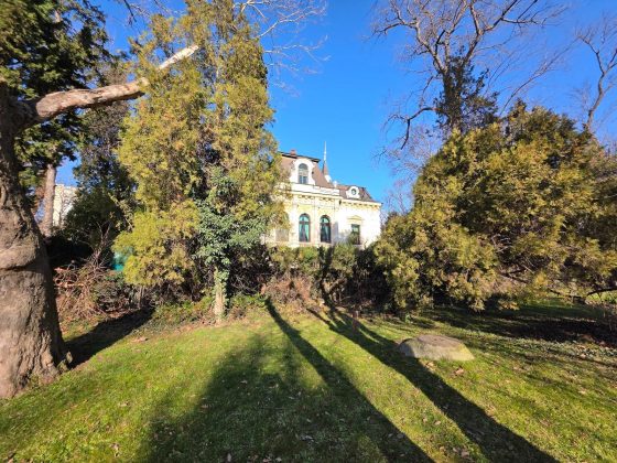 Обзор Samsung Galaxy S25 Ultra: один маленький шаг для ИИ... эх, без изменений фото