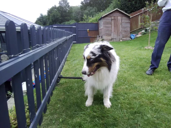 ТОП 6 лучших камер для детей в 2025 году: отличные камеры для детей всех возрастов фото