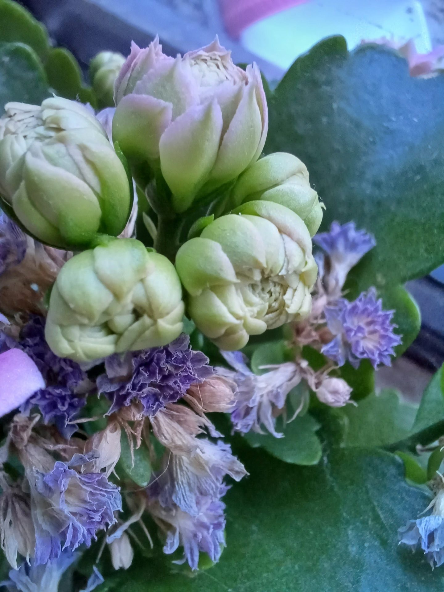 Обзор смартфона Galaxy A34 картинка Обзор смартфона Galaxy A34 фото