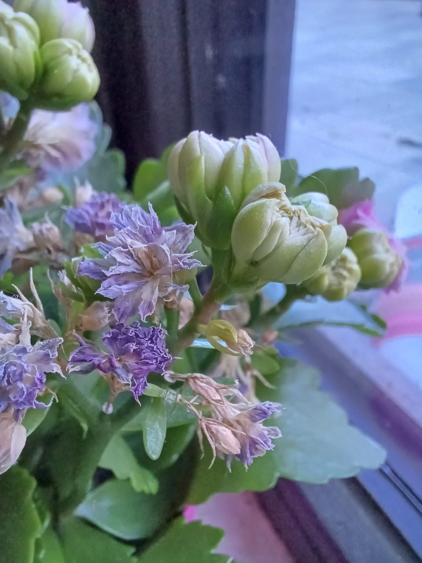 Обзор смартфона Galaxy A34 картинка Обзор смартфона Galaxy A34 фото