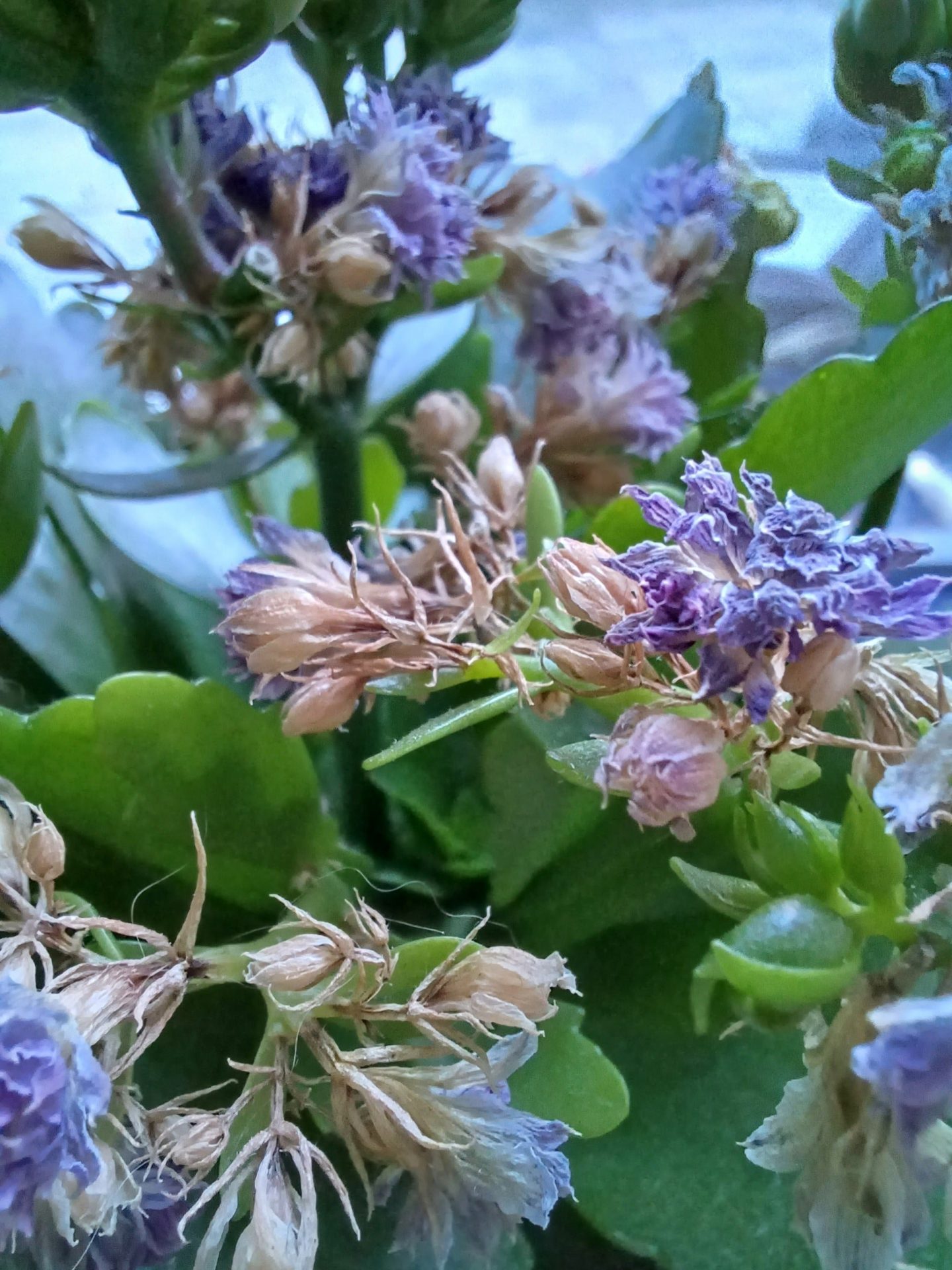 Обзор смартфона Galaxy A34 картинка Обзор смартфона Galaxy A34 фото