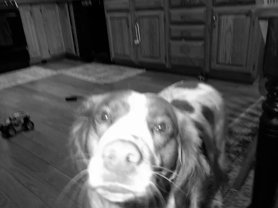 ТОП 6 лучших камер для детей в 2025 году: отличные камеры для детей всех возрастов фото