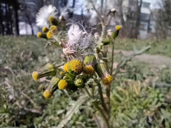 Обзор Moto G (2025): доступная цена, но достаточно ли этого? фото