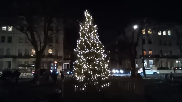 Обзор Amazon Fire HD 8 (2024): бюджетный планшет на все времена фото