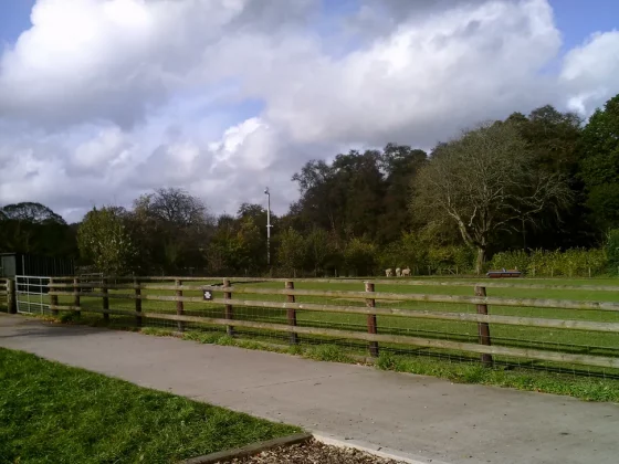 ТОП 6 лучших камер для детей в 2025 году: отличные камеры для детей всех возрастов фото