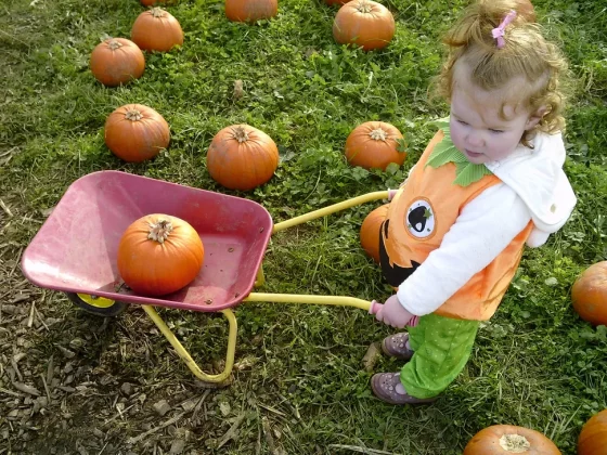 ТОП 6 лучших камер для детей в 2025 году: отличные камеры для детей всех возрастов фото