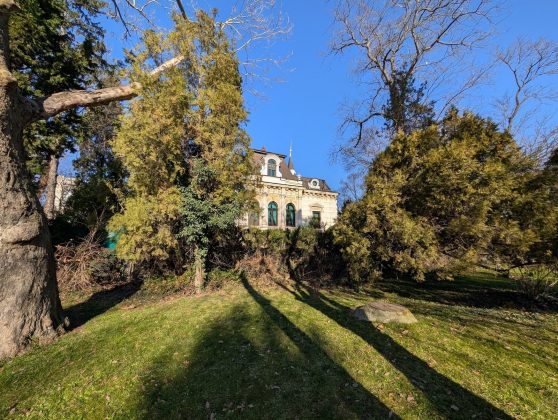 Galaxy S25 Ultra против Pixel 9 Pro XL: напряжённое противостояние фото