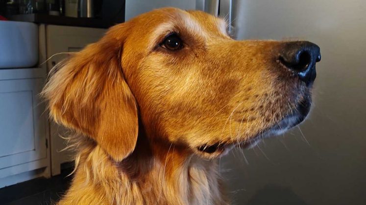 Обзор планшета Nubia Redmagic Nova: большой экран, отличная производительность фото