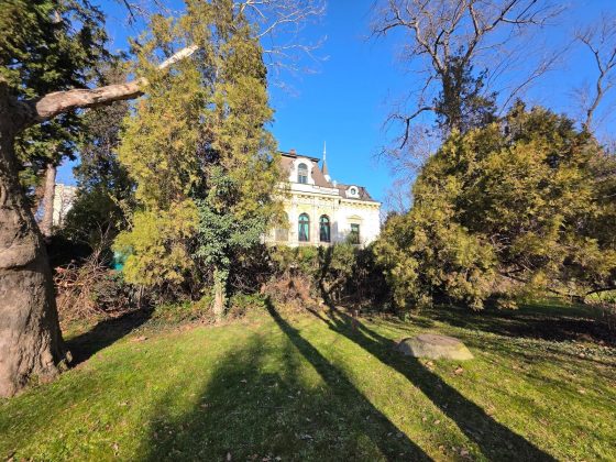 Galaxy S25 Ultra против Pixel 9 Pro XL: напряжённое противостояние фото