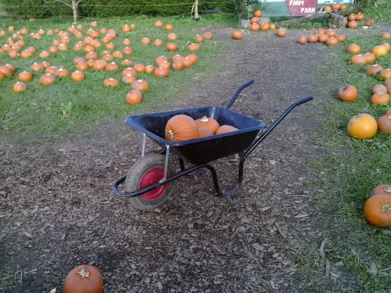 ТОП 6 лучших камер для детей в 2025 году: отличные камеры для детей всех возрастов фото