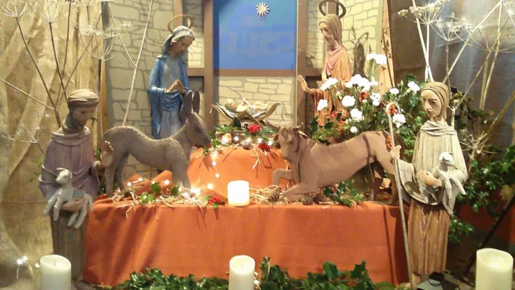 Обзор Minolta MND25: дешёвая 48-мегапиксельная камера с обычным набором функций фото