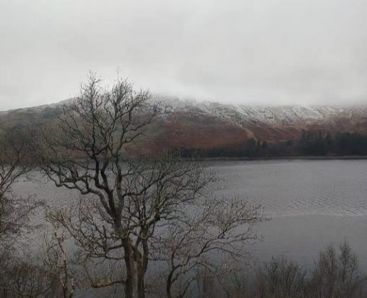 Обзор Honor Magic 7 Lite: король аккумуляторов среднего класса фото