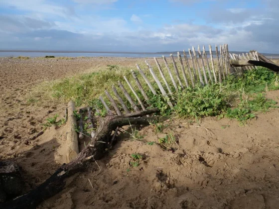 Обзор Panasonic Lumix G97: камера для любителей, цена для новичков фото