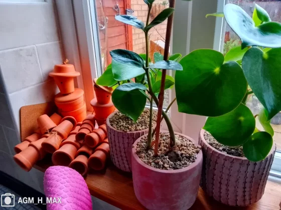 Обзор AGM H Max: надежный телефон с невысокой производительностью фото