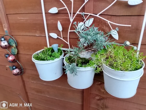 Обзор AGM H Max: надежный телефон с невысокой производительностью фото