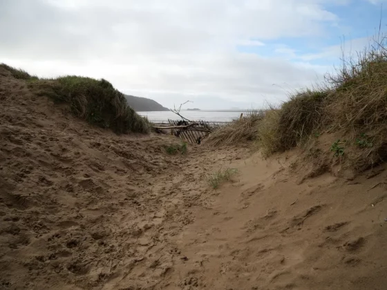 Обзор Panasonic Lumix G97: камера для любителей, цена для новичков фото