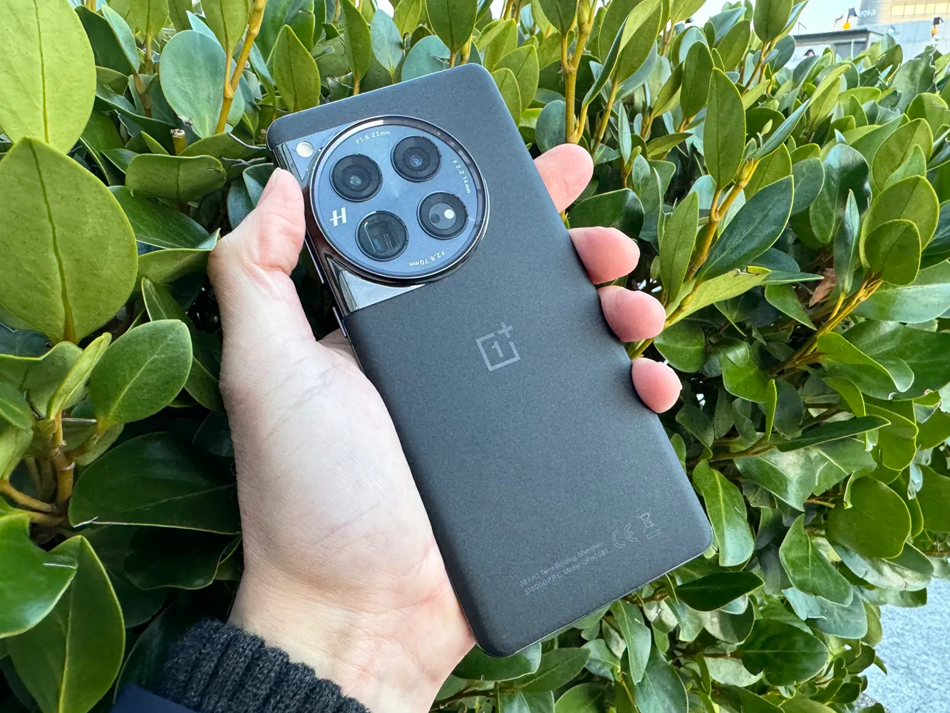 OnePlus 12