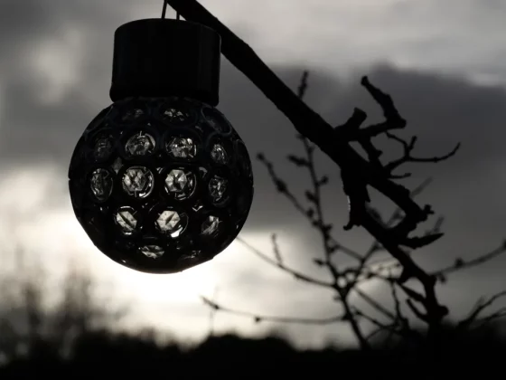 Обзор Panasonic Lumix G97: камера для любителей, цена для новичков фото