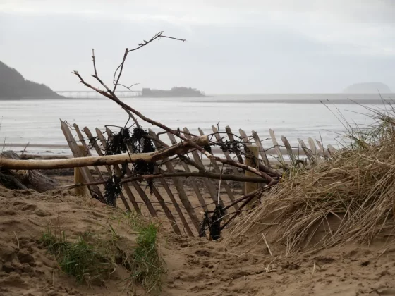 Обзор Panasonic Lumix G97: камера для любителей, цена для новичков фото