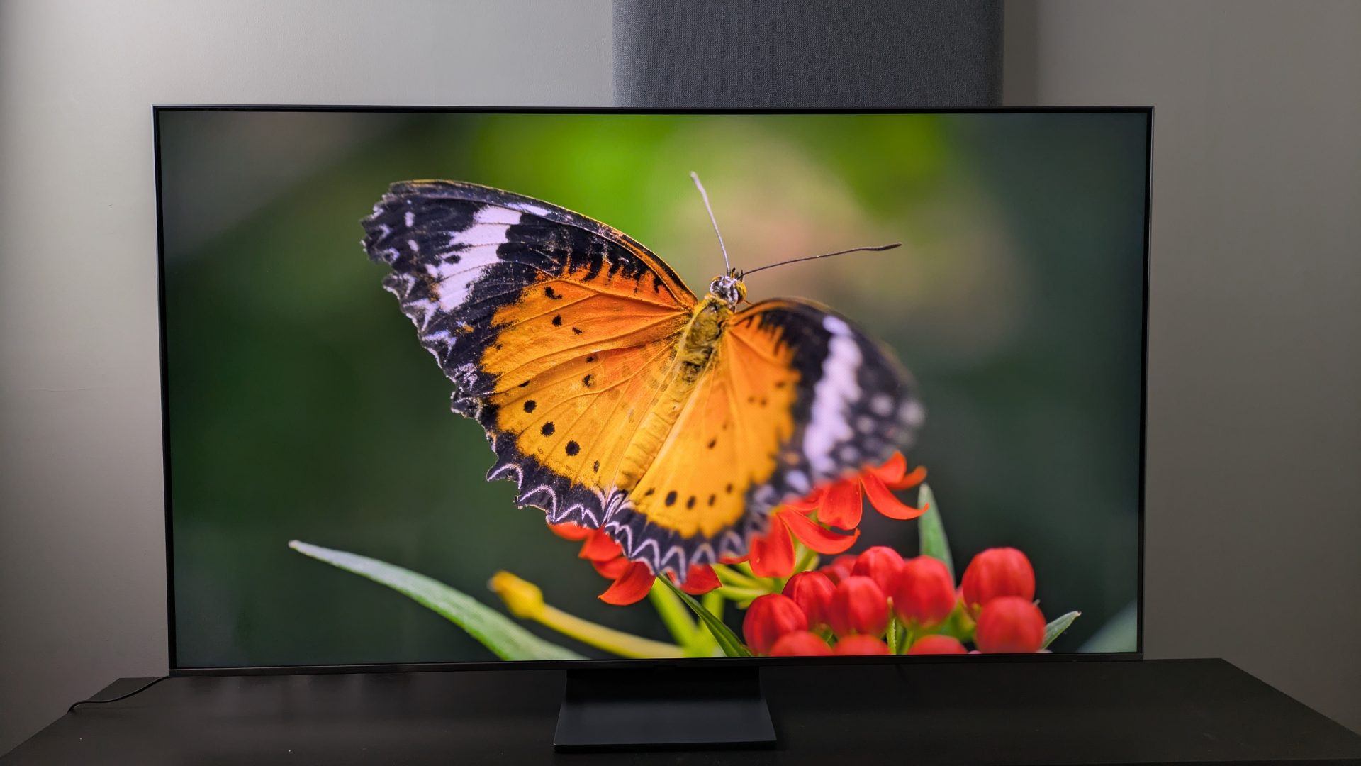 Выбираем телевизоры 4K с частотой 120 Гц в 2025 году