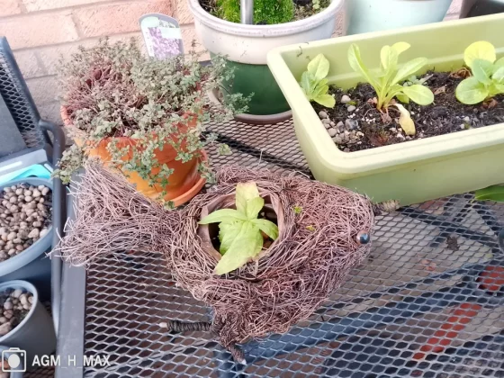 Обзор AGM H Max: надежный телефон с невысокой производительностью фото